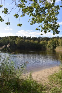 DSC_0599 Kreelse Plas